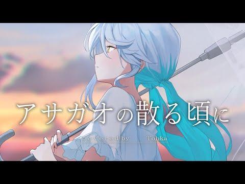 MV「アサガオの散る頃に」